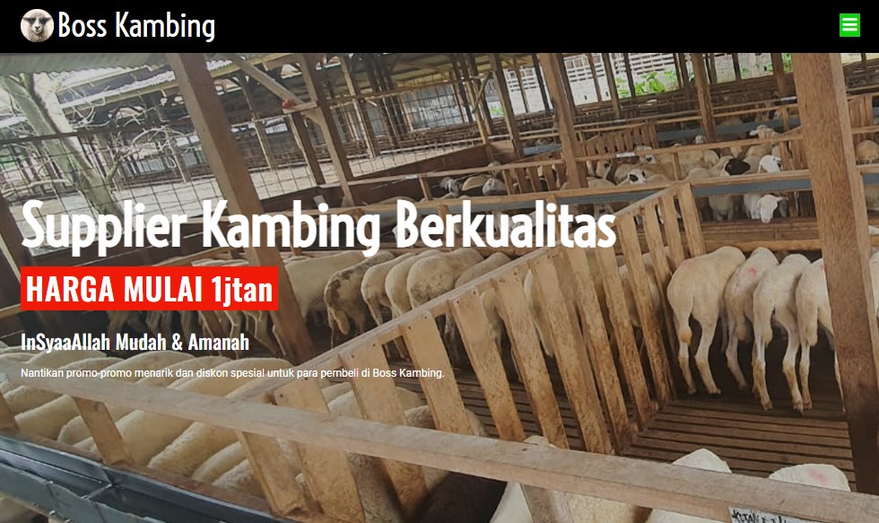 Supplier Hewan Qurban Tangerang Selatan