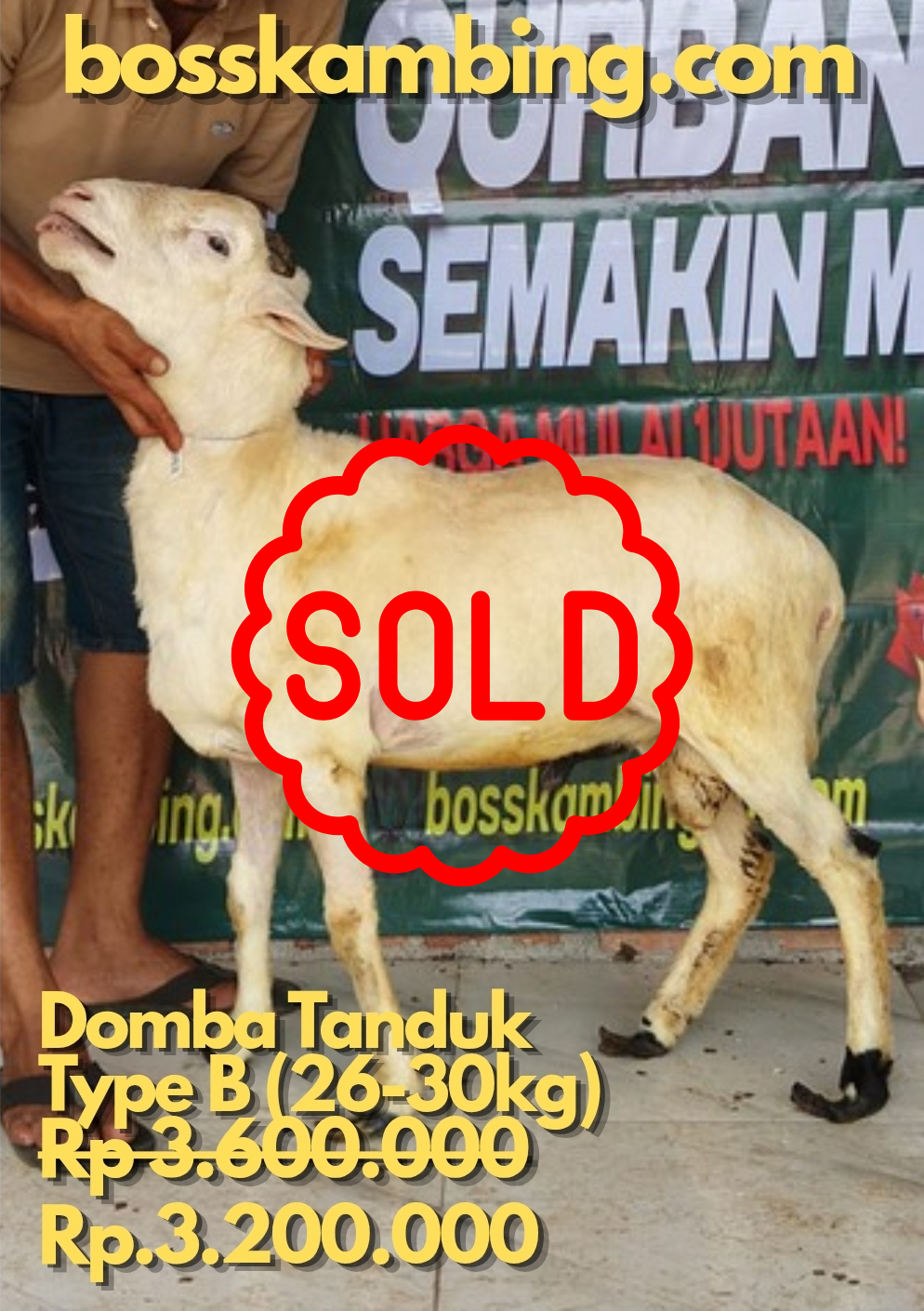 Dugul1 Sold