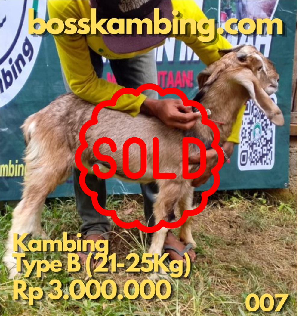 007 sold